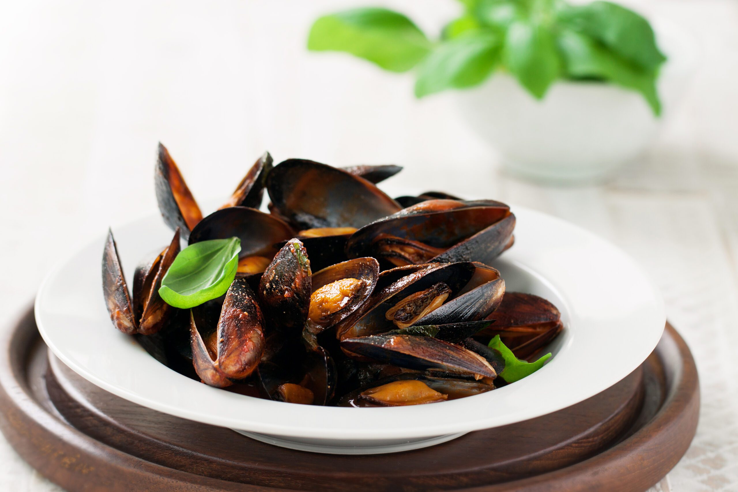 Top 5 Oyster Sauce Substitutes You Need to Know